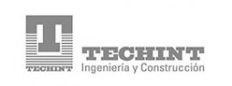 Techint Ingeniería y Construcción